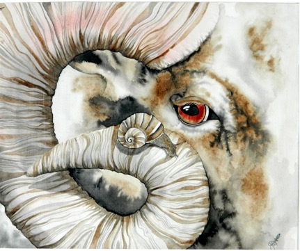 painting of big horned sheep with snail on horn.